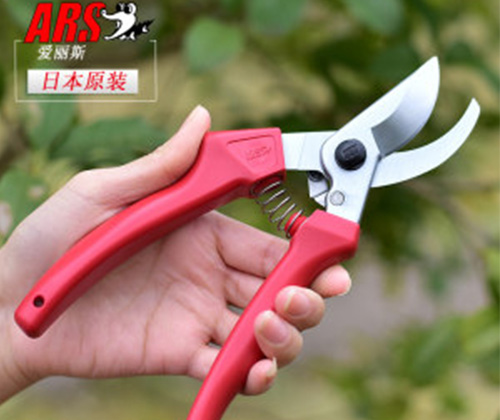 樹(shù)枝手剪